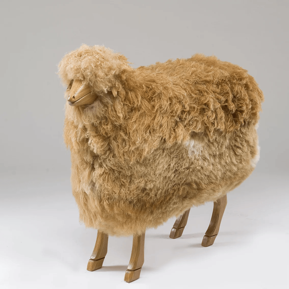Caramello (Large Sheep)