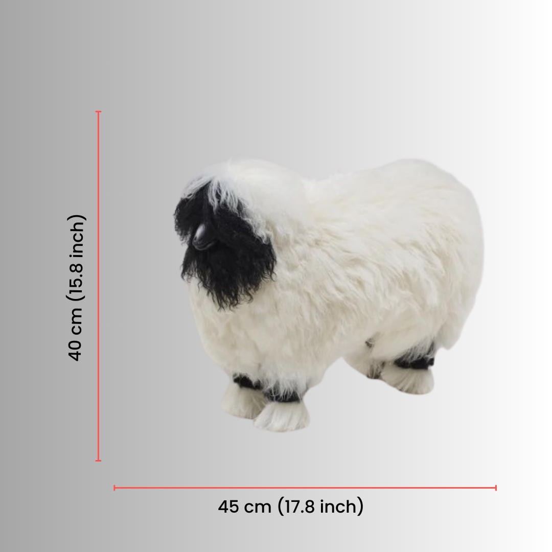 BlackNose (Small Sheep)