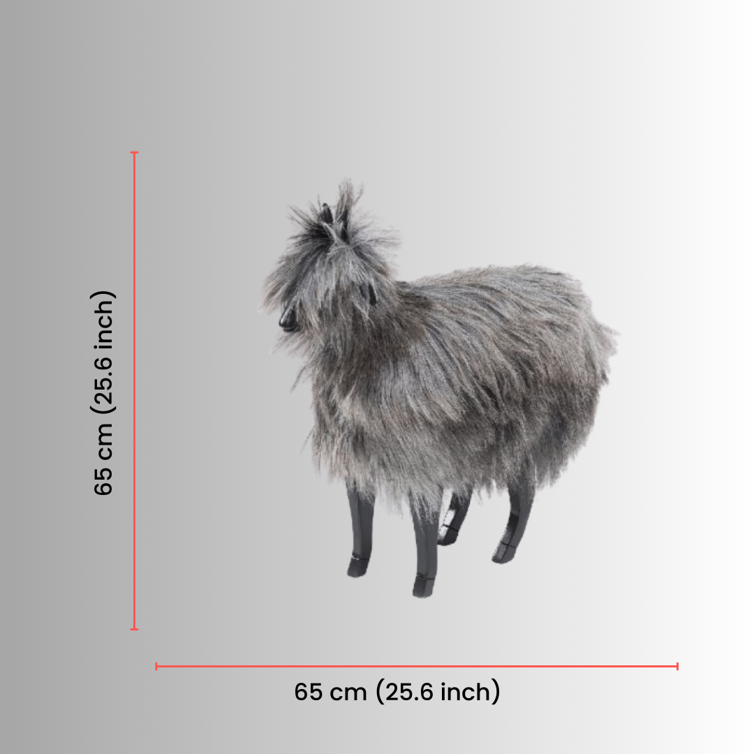Grey The Goat