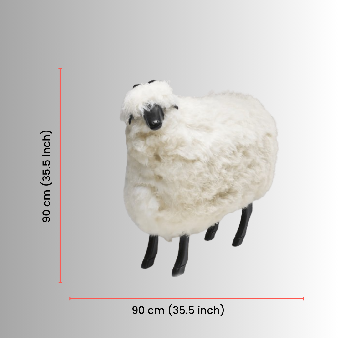 Casanova (Large Sheep)