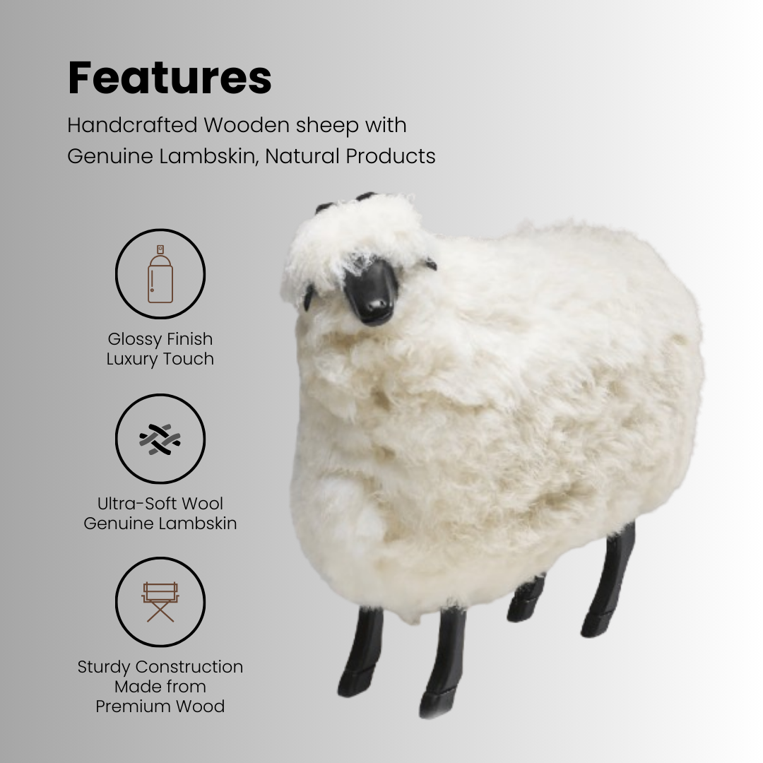 Casanova (Large Sheep)