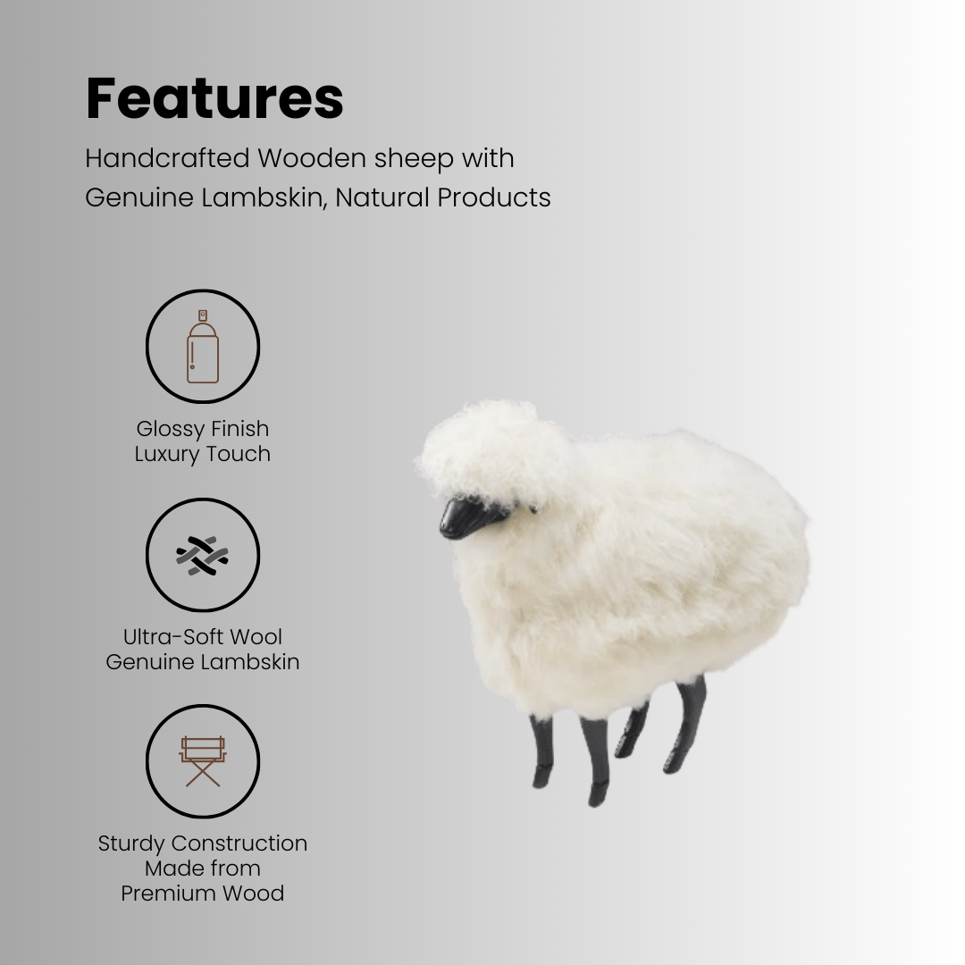 Wooden Sheep (Shorty)