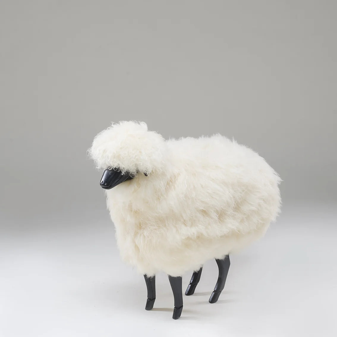 Wooden Sheep (Shorty)