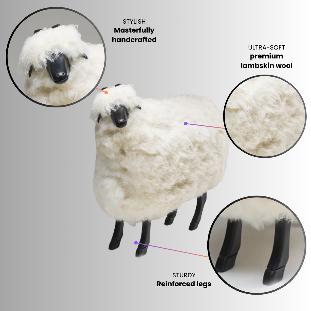 Casanova (Large Sheep)